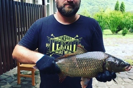 photo-2018-09-08-09-33-52