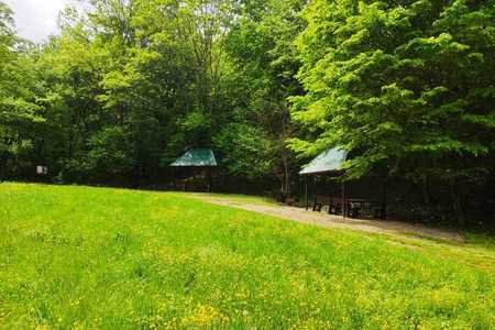 photo-2019-05-03-12-38-51-2