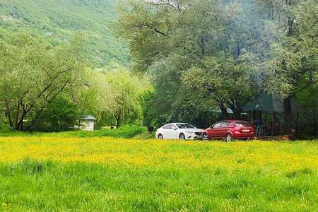 photo-2019-05-03-12-38-51